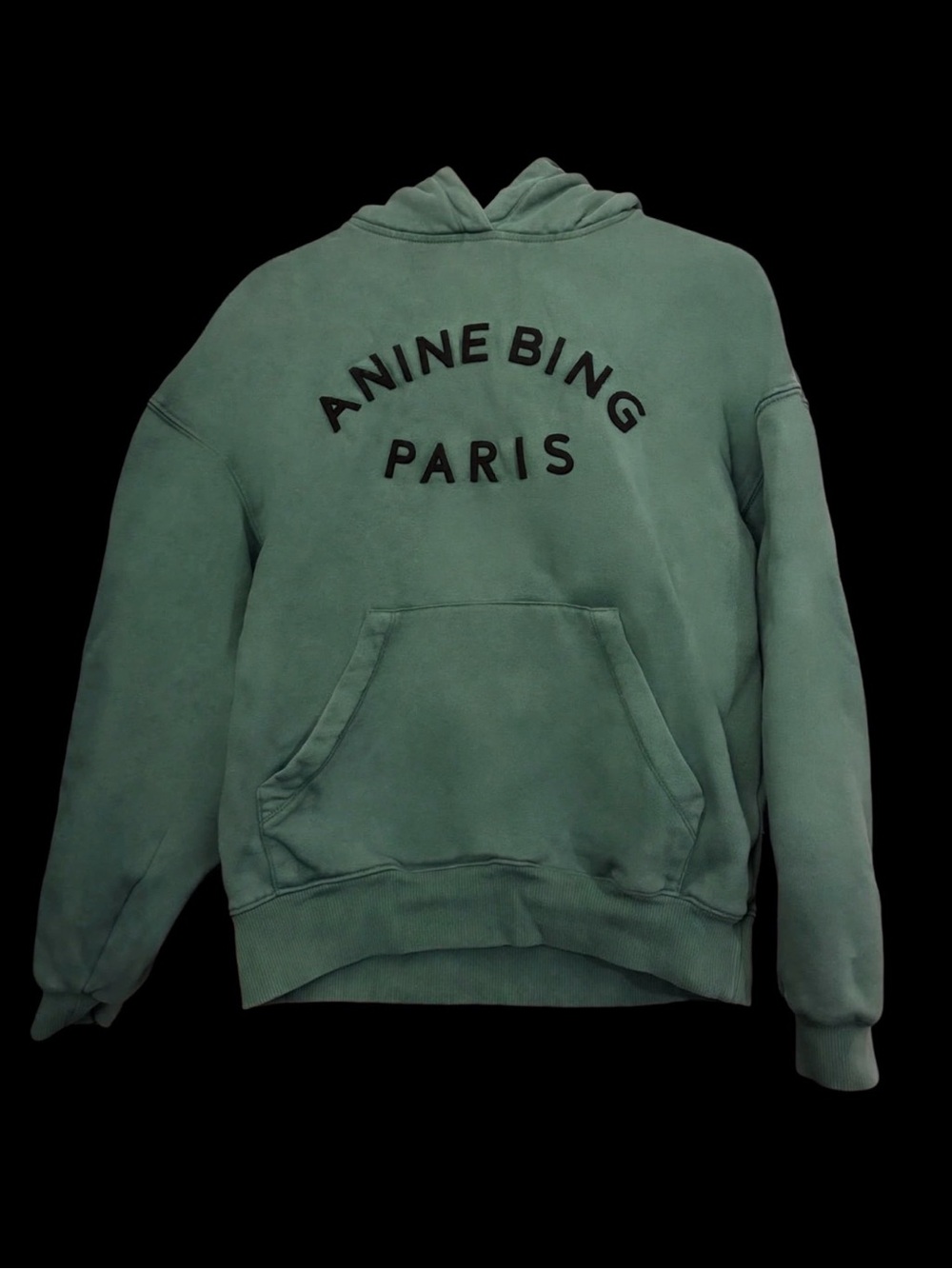 Anine Bing Teal Green 'Anine Bing Paris' Pullover Hoodie